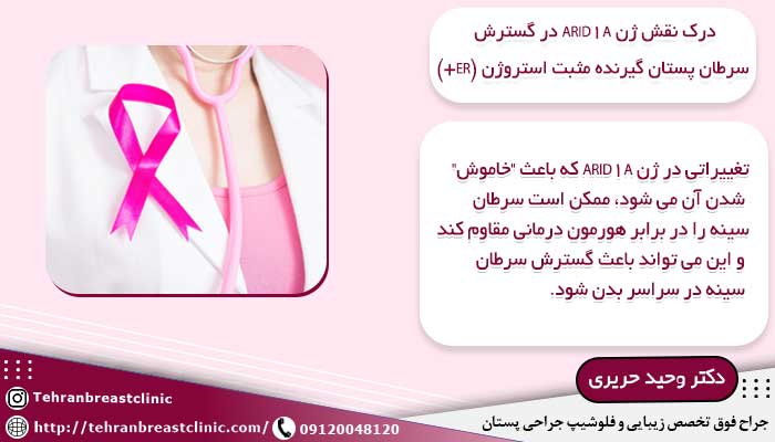 نقش ژن ARID1A در گسترش سرطان پستان